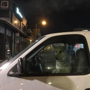 Meet your Posher, Leonor